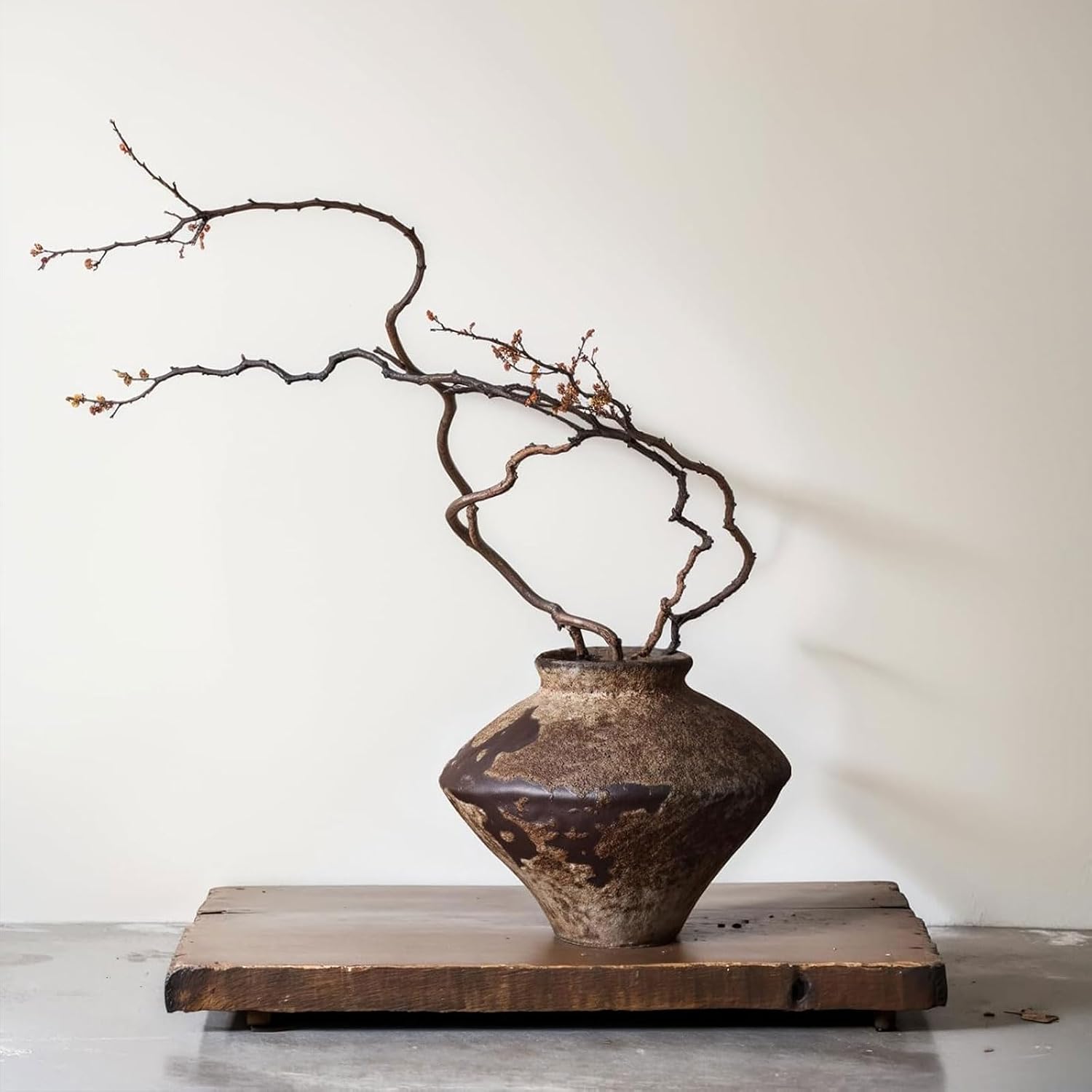 Wabi Sabi Rusty Vintage Vase,  - Centerpiece Vase Tall 评论和价格